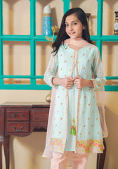 Ochre Clothing Chiffon Embroidered 3 Pc Suit