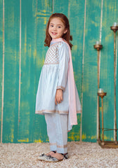 Ochre Clothing Cotton Embroidered 3 Pc Suit