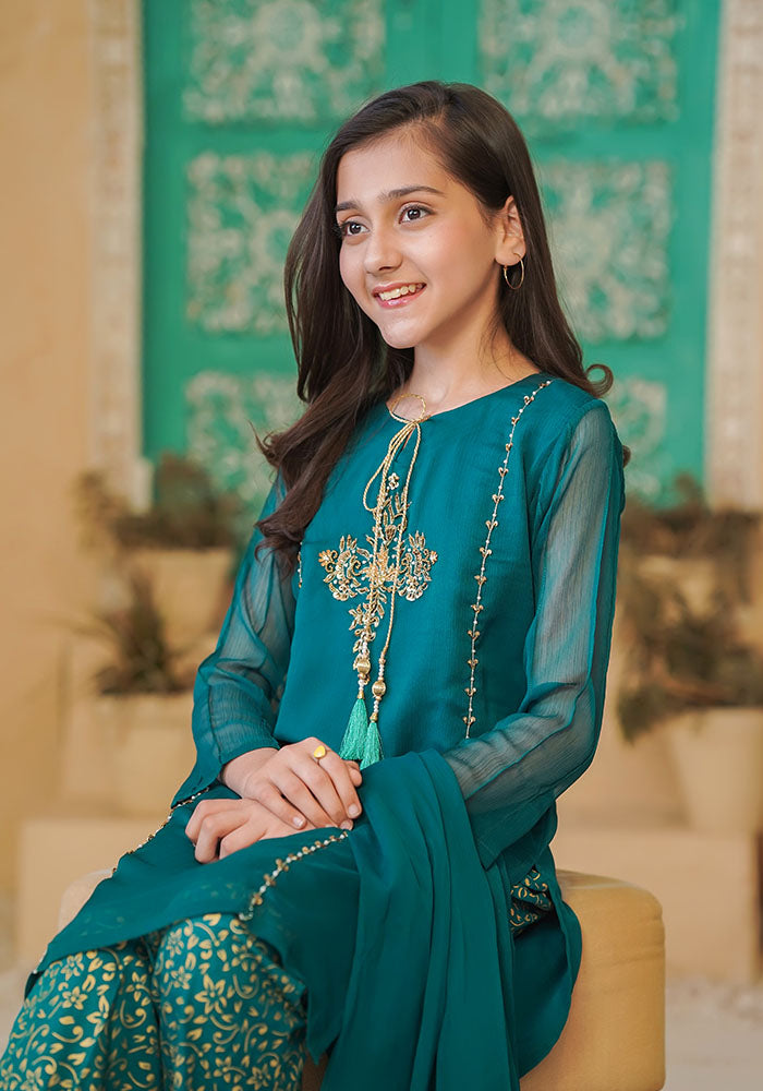 Ochre Clothing Chiffon Hand Work 3 Pc Suit