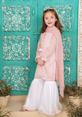 Ochre Clothing Chiffon Embroidered 3 Pc Suit