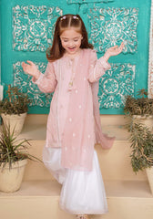 Ochre Clothing Chiffon Embroidered 3 Pc Suit