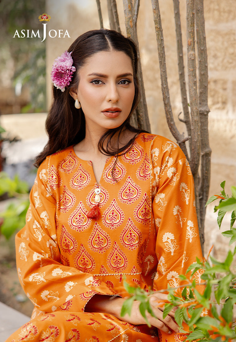 The Minimal Pret 2 By Asim Jofa Stitched 2 Piece Cambric Collection'2025-AJPB-193