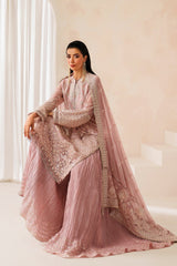 Nurah By Xenia Unstitched 3 Piece Luxury Formals Collection'2025-02-Anira
