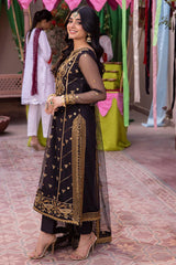 Pyaar Diyan Gallan By Asim Jofa Unstitched 3 Piece Luxury Formals Collection'2024-AJEM-04