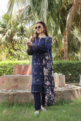Dressline UnStitched 3 Piece Premium Heavy Chikankari Emb Bana Dora Lawn Collection