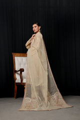 Dressline 3 Piece Emb Chikankari Lawn Suit 538