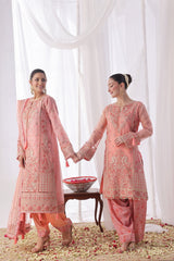 Dressline Ilaan Luxury Unstitched 3 Piece Emb Organza Dress