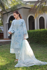 Dressline Semi Stitched 3 Piece Luxury Emb Organza Collection With Designer Clutch