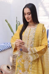 Dressline Bella Semi Stitched 3 Piece Premium Emb Chikankari & Laserkari Jacquard Lawn Collection