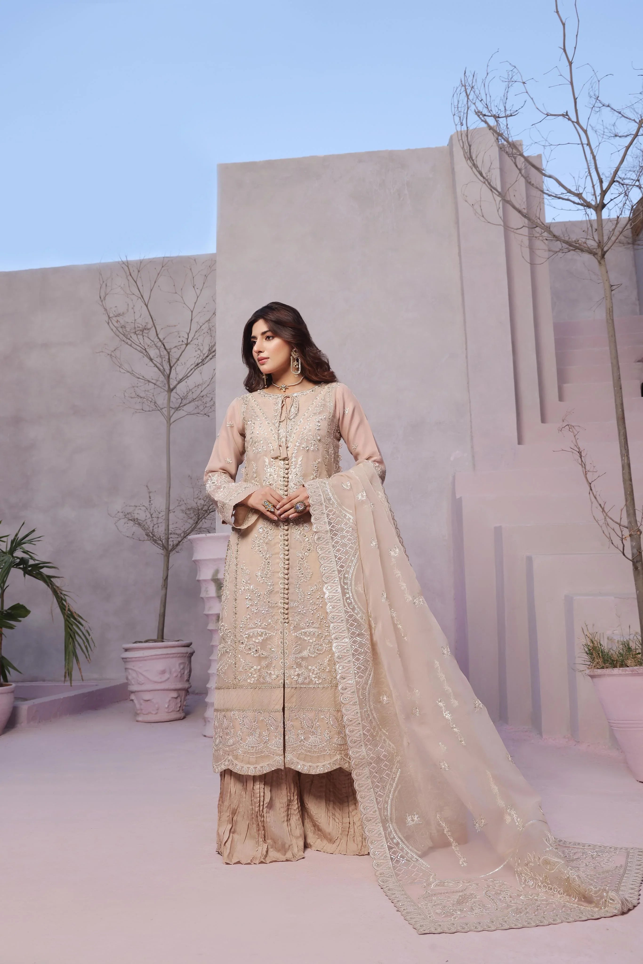 Dressline Dastangoi Unstitched 3 Piece Luxury Emb Organza Collection