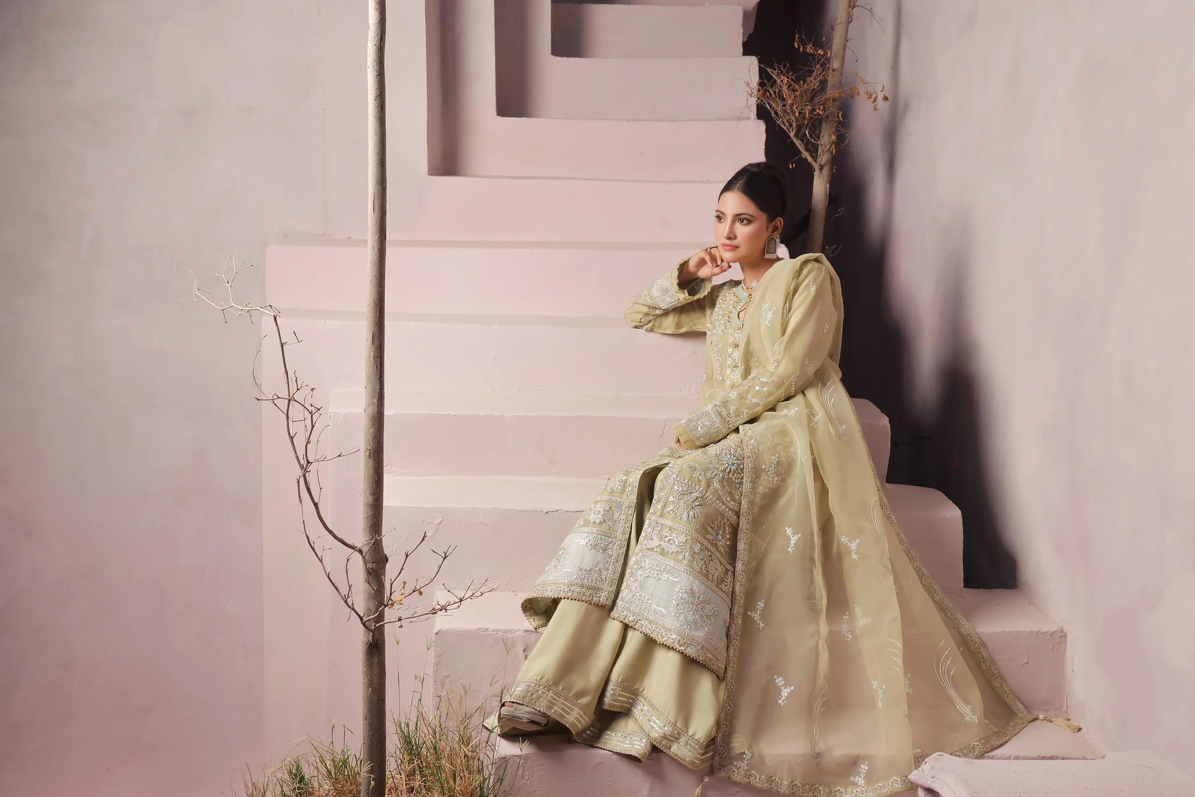Dressline Dastangoi Unstitched 3 Piece Luxury Emb Organza Collection