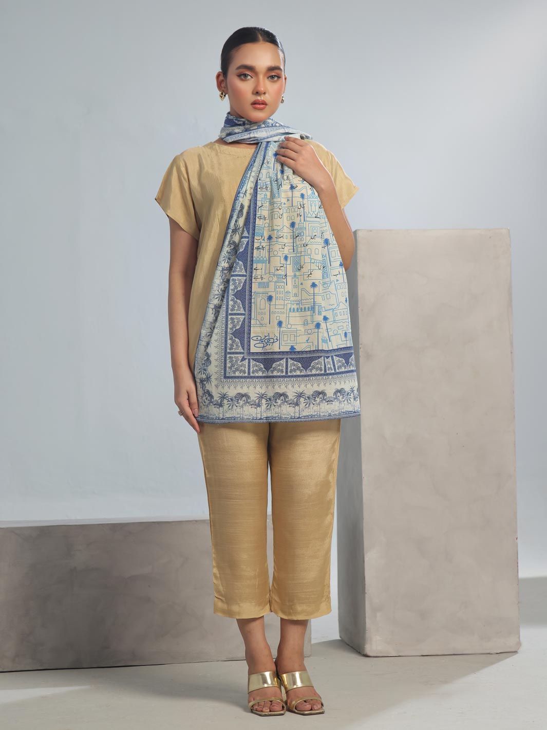 TNG Khuahish Lawn Stole Collection'2024