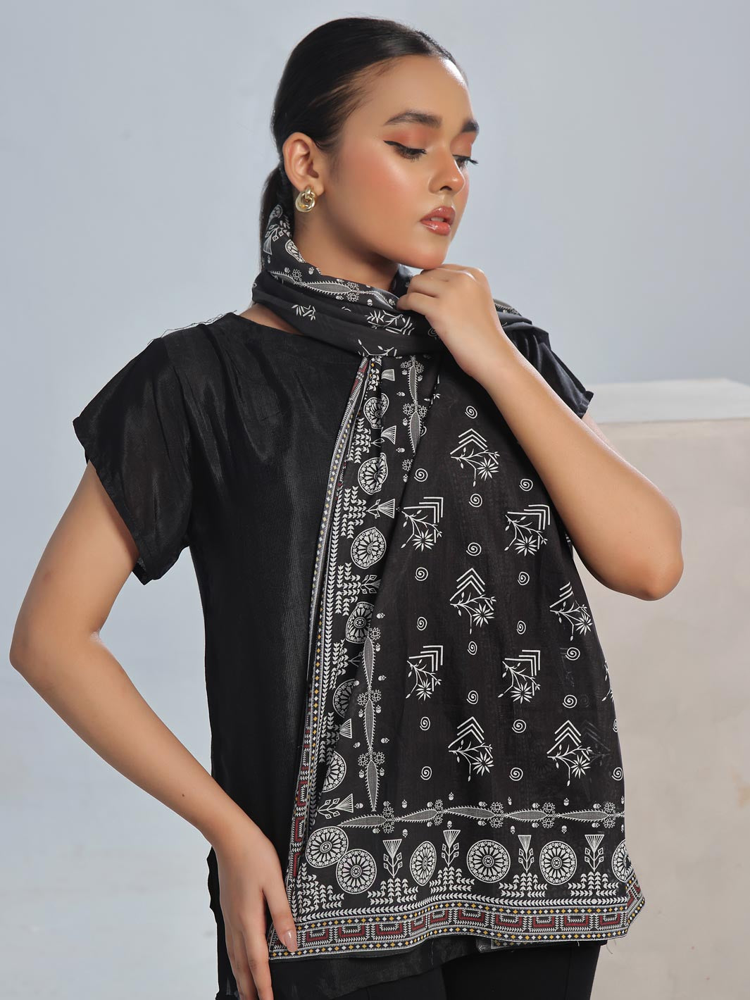 TNG Rounaq Lawn Stole Collection'2024