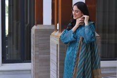 Dressline New Semi Stitched 3 Pcs Premium Dyed Lawn Fancy Full Chikankari With Sequence Embaa Collection 2025
