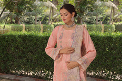 Dressline Hayam Ready-To-Wear 3 Piece Premium Heavy Chikankari Emb Bana Dora Lawn Collection