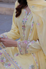 Dressline Basant Stitched Luxury Emb Banadora Lawn Collection With Chiffon Dupatta & Emb Cotton Trousers