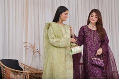 Dressline Semi Stitched 3 Pc Emb Luxury Organza Clutches Collection