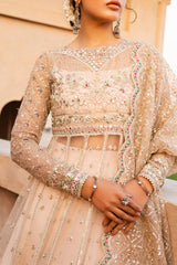 Jahan By Meeral Unstitched 3 Piece Formals Collection'2025-JAHAANARA