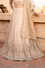 Jahan By Meeral Unstitched 3 Piece Formals Collection'2025-JAHAANARA