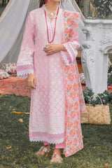 Adan's Libas Unstitched 3 Piece Chikankari Lawn Ch-02 Collection'2023-C-08