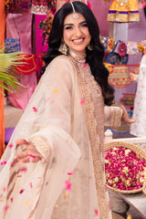 Pyaar Diyan Gallan By Asim Jofa Unstitched 3 Piece Luxury Formals Collection'2024-AJEM-11