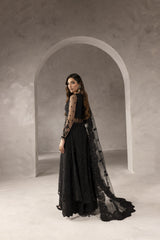 Elysee By Imran Ramzan Unstitched 3 Piece Luxury Formals Collection'2025-Amour de Noire