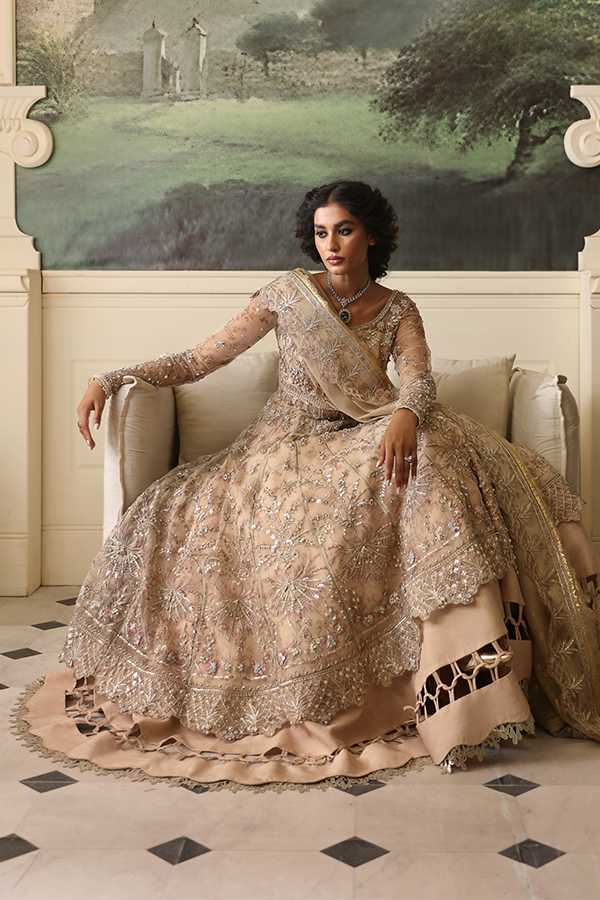 Nyra Unstitched 3 Piece Wedding Festive Collection'2025-Dahlia
