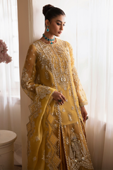 Nyra Unstitched 3 Piece Wedding Festive Collection'2025-Aurea