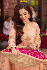 Pyaar Diyan Gallan By Asim Jofa Unstitched 3 Piece Luxury Formals Collection'2024-AJEM-20