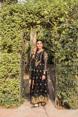 Panache Apparel Stitched Frock Collection-Roshanay