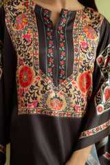 Qariney Stitched 2 Piece Silk Collection-Dilara
