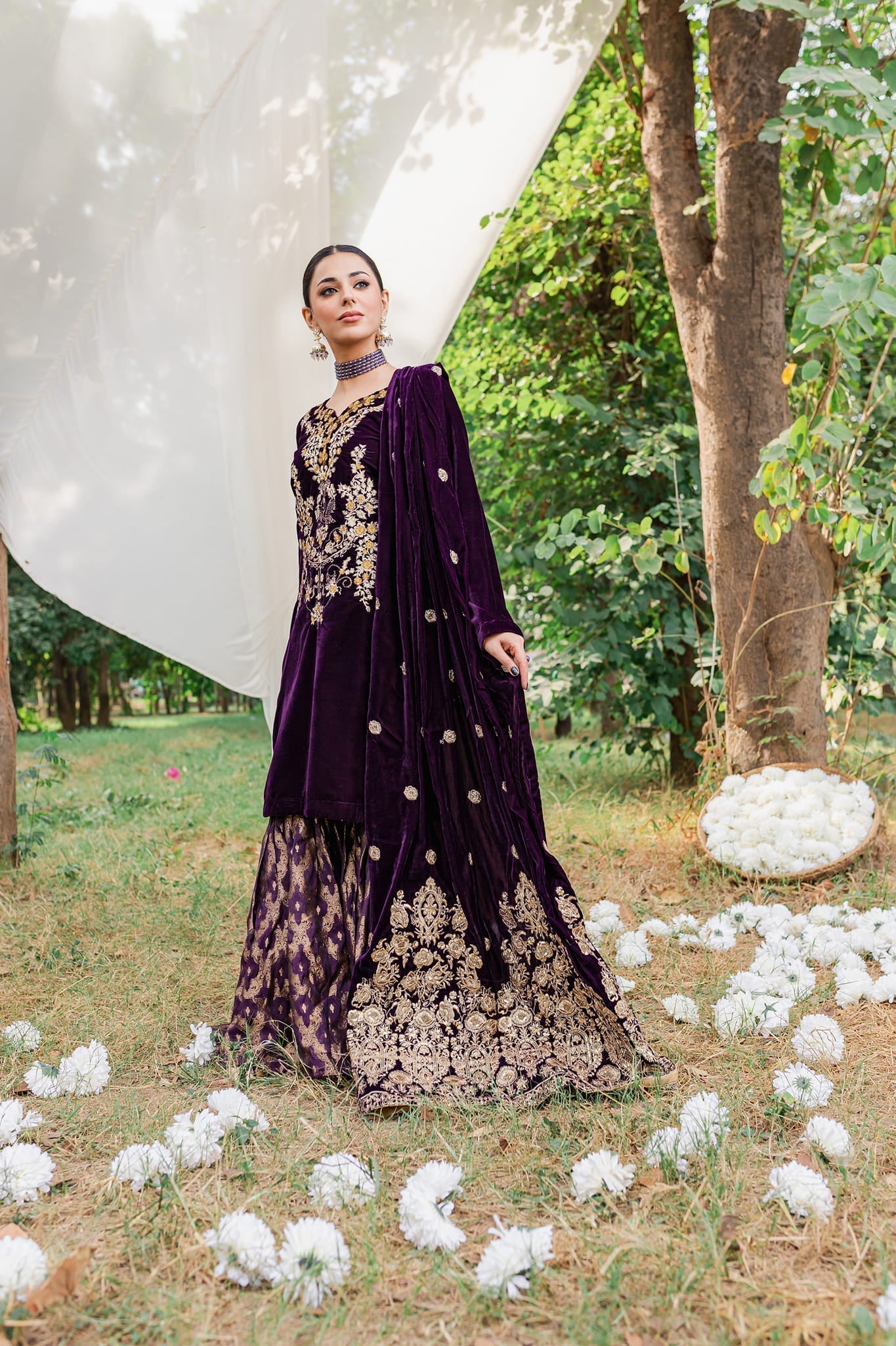Panache Apparel Stitched Velvet Collection-Moor