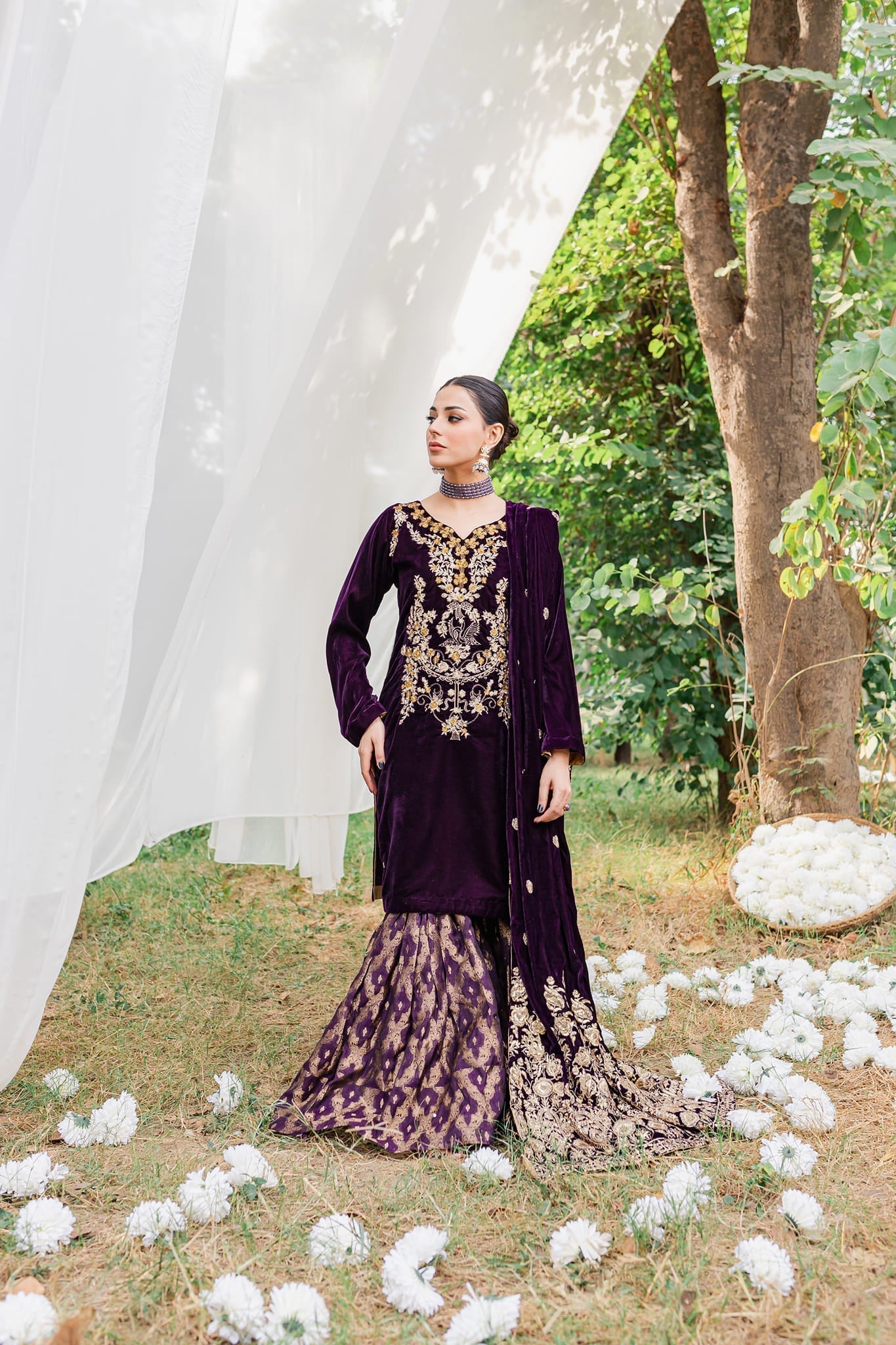 Panache Apparel Stitched Velvet Collection-Moor