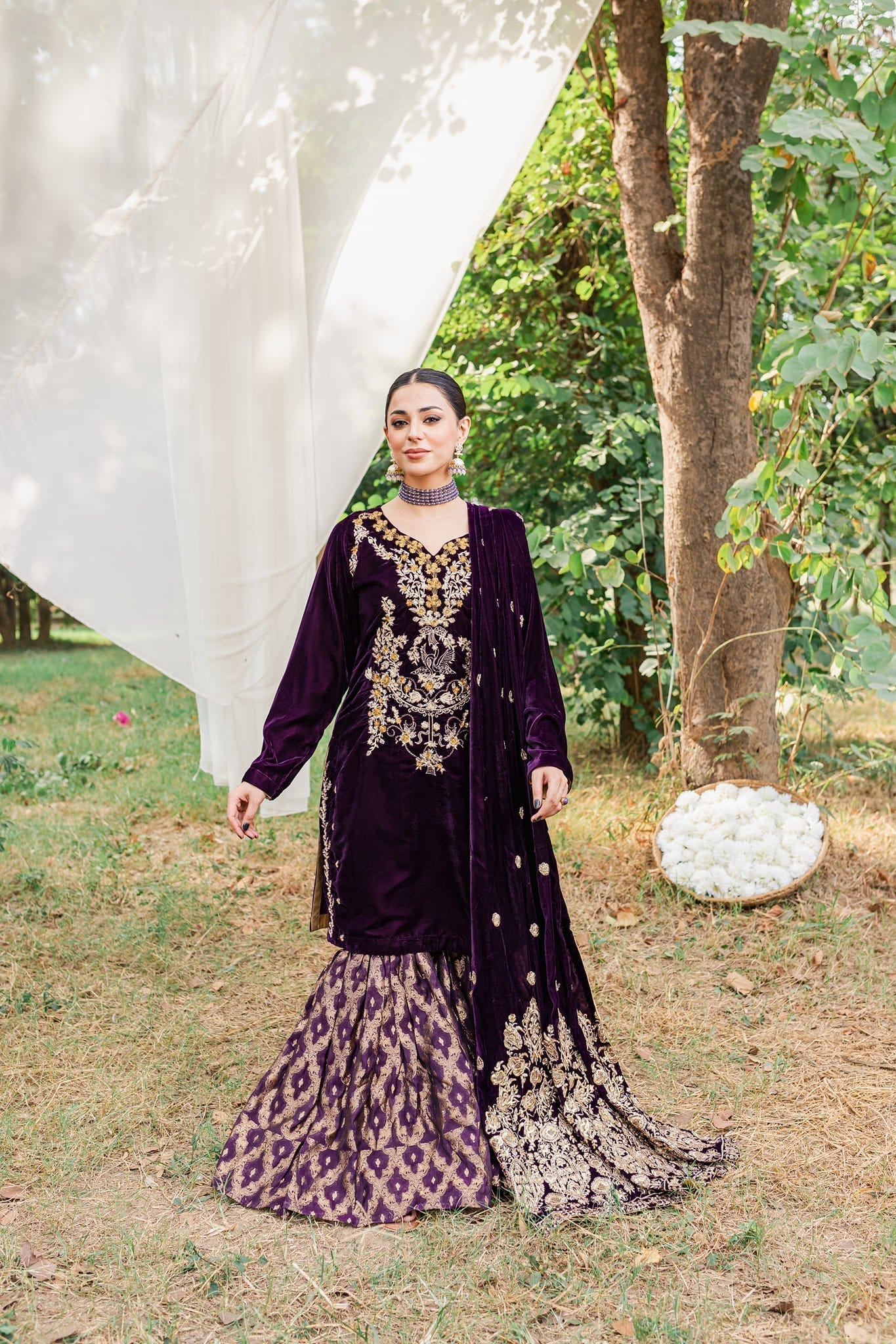 Panache Apparel Stitched Velvet Collection-Moor
