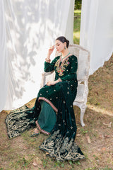Panache Apparel Stitched Velvet Collection-Maysa