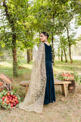 Panache Apparel Stitched Velvet Collection-Jahanara