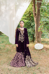 Panache Apparel Stitched Velvet Collection-Moor