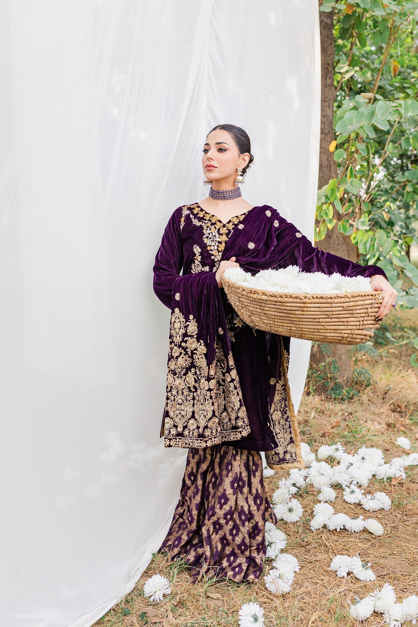 Panache Apparel Stitched Velvet Collection-Moor