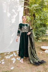 Panache Apparel Stitched Velvet Collection-Vasl