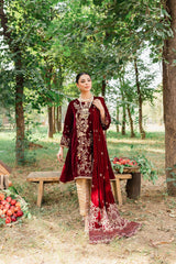 Panache Apparel Stitched Velvet Collection-Parul