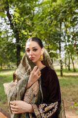 Panache Apparel Stitched Velvet Collection-Ladaan
