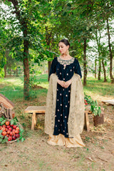 Panache Apparel Stitched Velvet Collection-Ezel