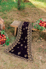 Panache Apparel Stitched Velvet Shawl Collection-Plum Shawl