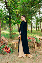 Panache Apparel Stitched Velvet Collection-Ezel