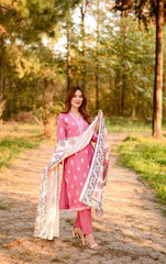 Winter Basics by Panache Apparel Stitched Collection-Haven Nyla Raja