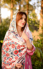 Winter Basics by Panache Apparel Stitched Collection-Haven Nyla Raja
