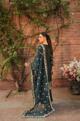 Raahi by Panache Apparel Stitched Collection-Gul