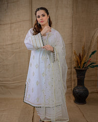 Ayla Studio Stitched Luxury Collection'2025-Asbp-104 Dobby Spring 3Pcs