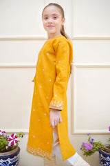Rang e Eid Shanzey Stitched Jacquard Kurti Collection'2025-SHK-4215