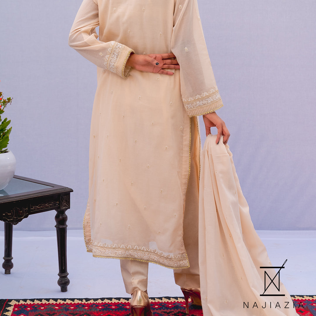 Najia Zia Unstitched 3 Piece Lawn Collection'2025-Paisley